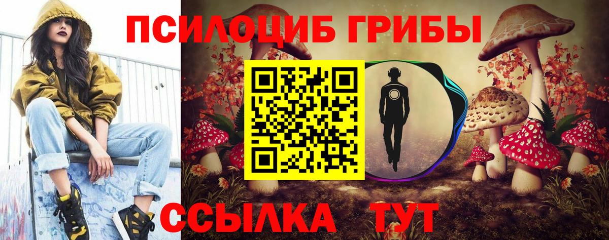 Трёхгорный  Псилоцибиновые грибы Psilocybine cubensis  Вход с VPN 